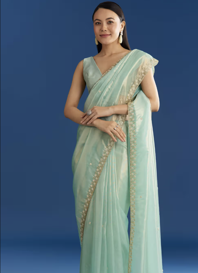 Organza Saree